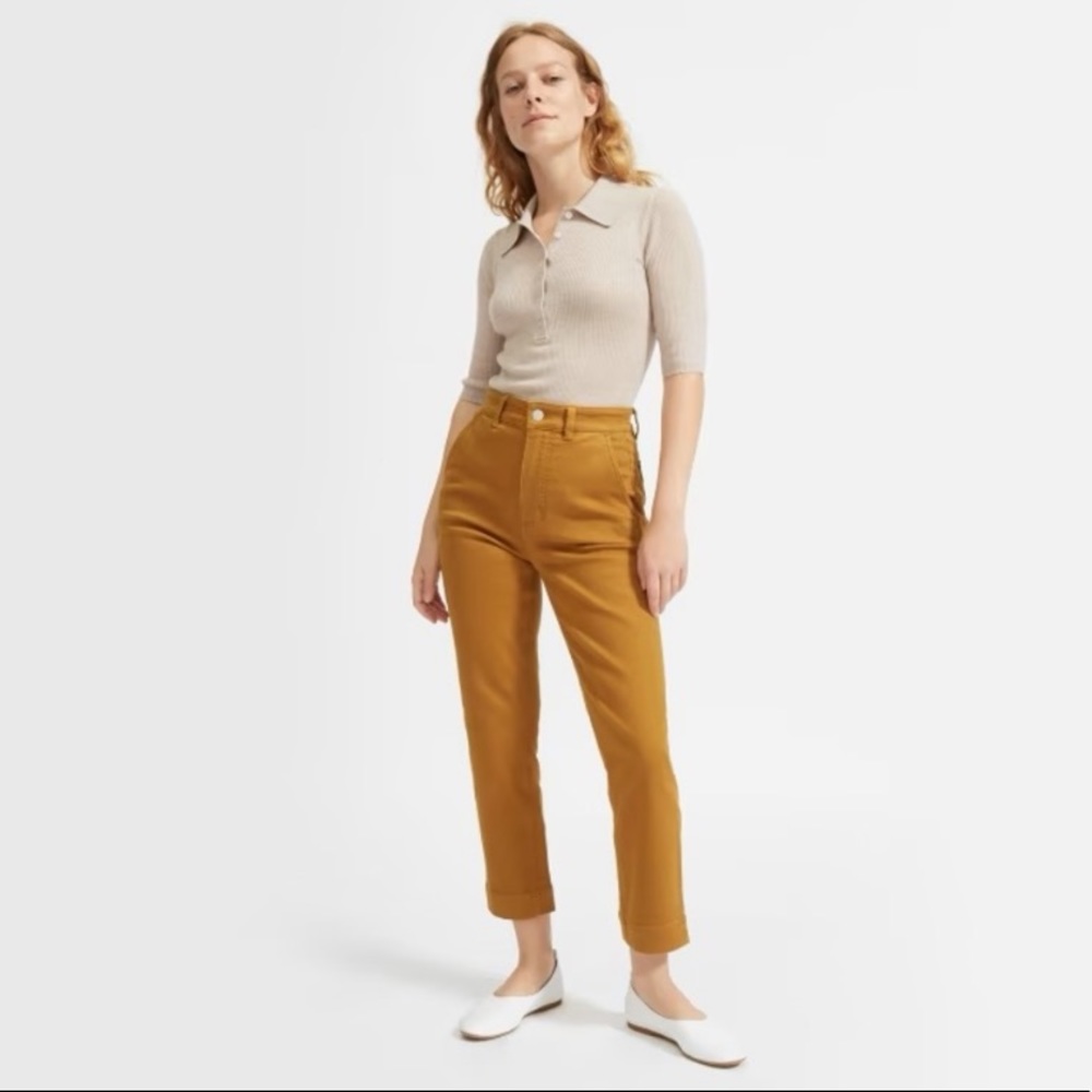 Everlane Slim Leg Crop Trouser Pants in Beige/Tan